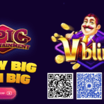 How to become a Vblink distributor